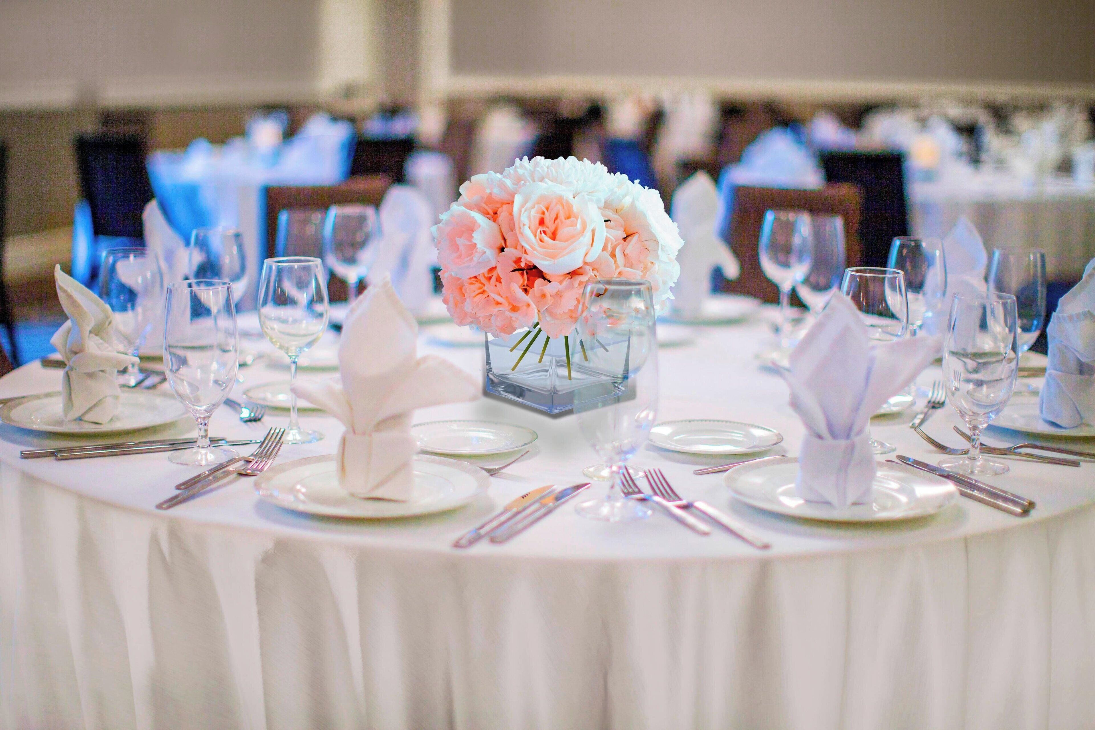 Foto - Sheraton Jacksonville Hotel