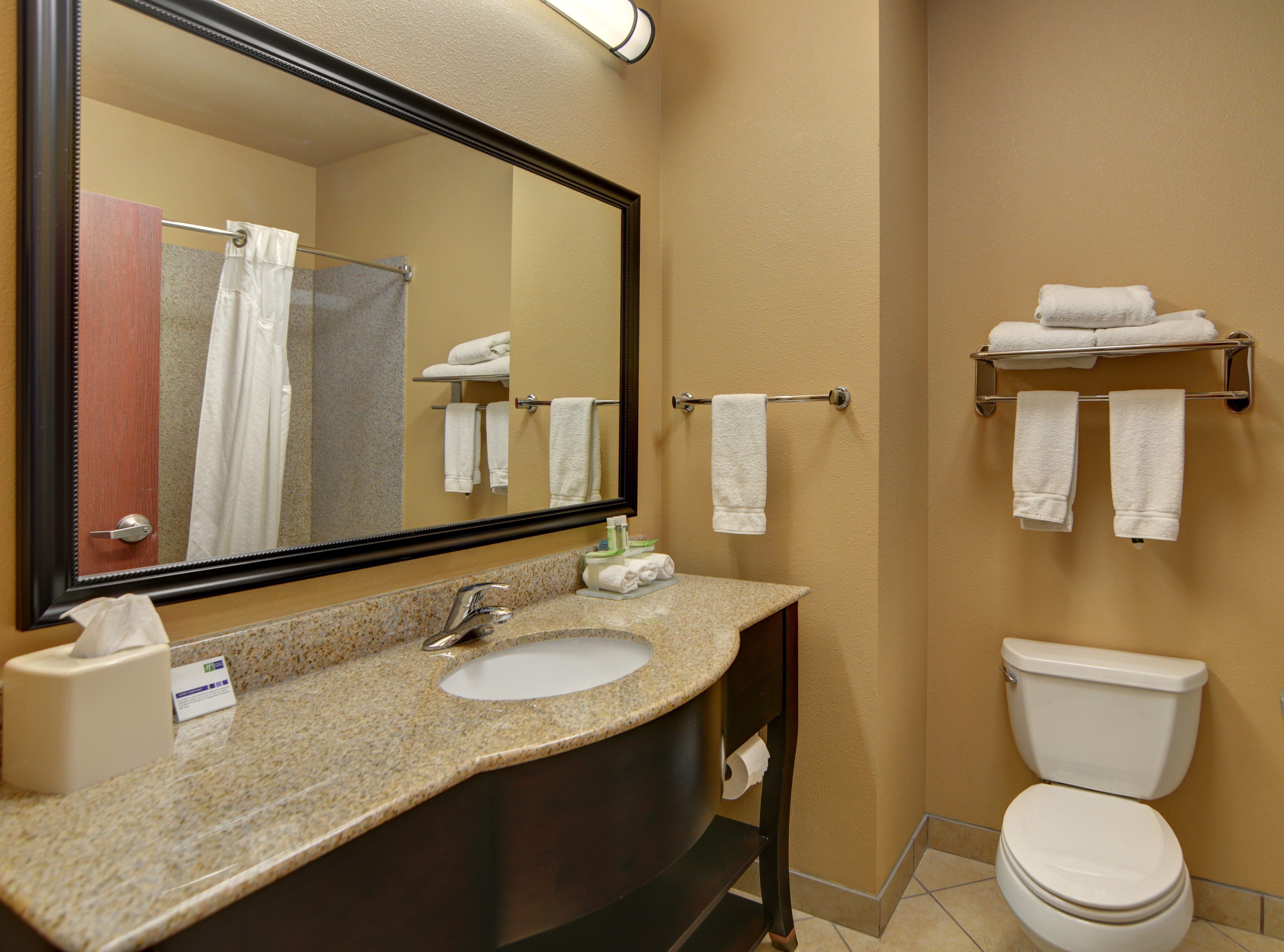 combined shower/bathtub, free toiletries, hair dryer, towels