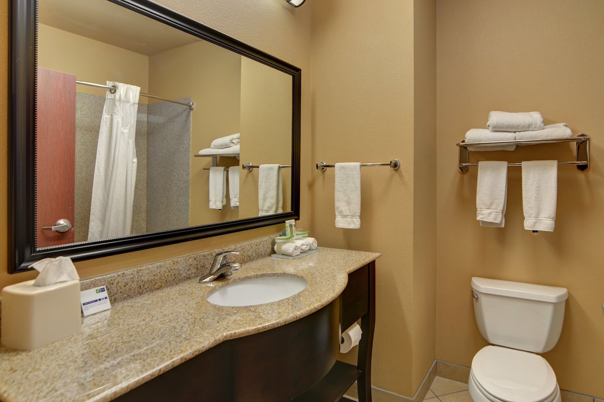 combined shower/bathtub, free toiletries, hair dryer, towels