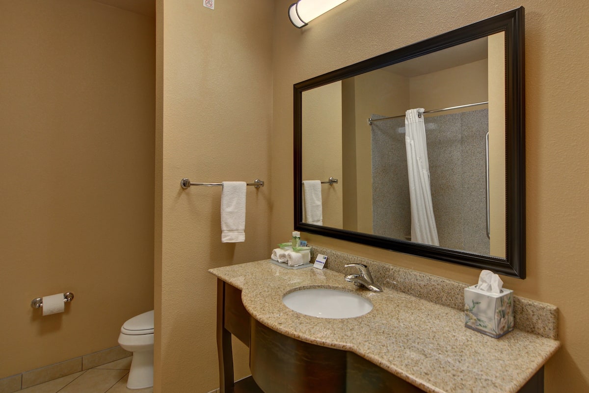 combined shower/bathtub, free toiletries, hair dryer, towels