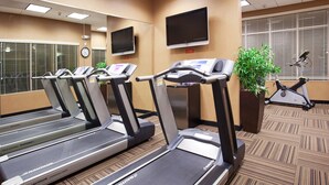 Un gimnasio con cintas de correr, una bicicleta estática y una planta en maceta.
