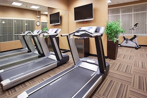 A gym with treadmills, a stationary bike, and a potted plant.