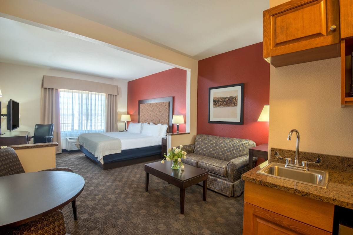 Quarto de hotel com cama, sofá, mesa de jantar, mesa de centro, televisão, escrivaninha, abajur, pintura e pia.
