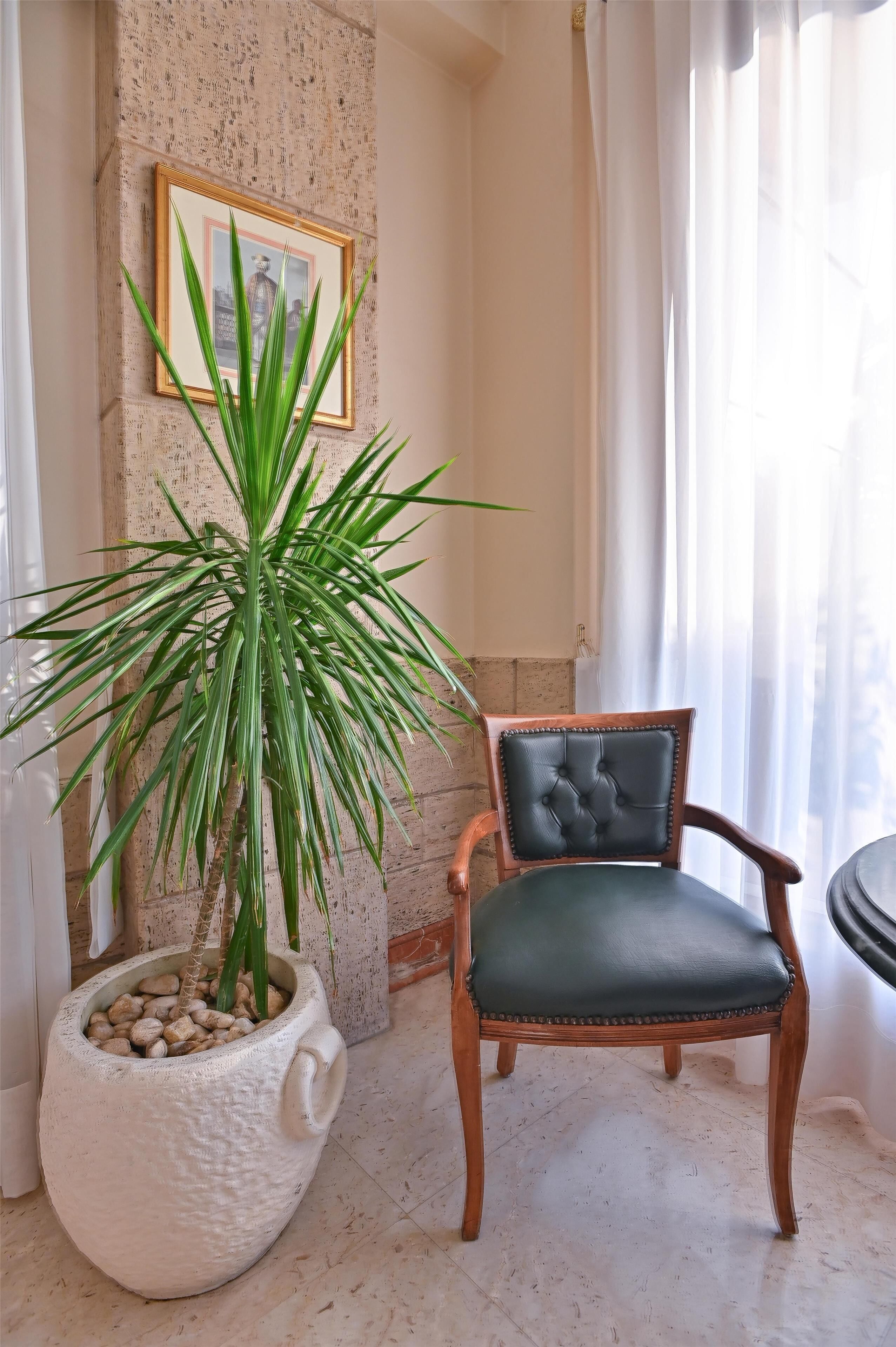 A room with a potted plant, a framed picture on the wall, and a chair.