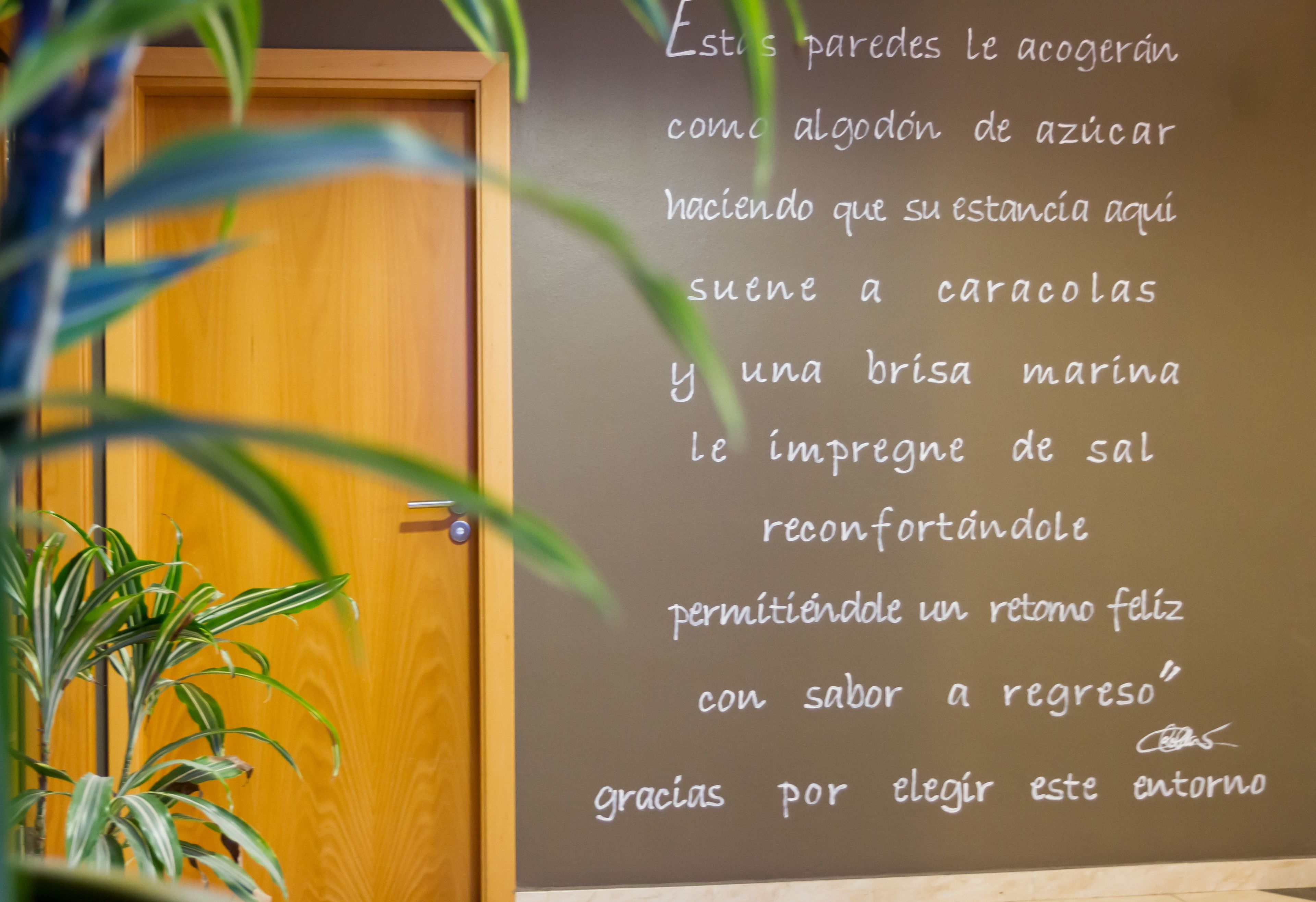 A chalkboard with a message in Spanish, a wooden door, and a potted plant.