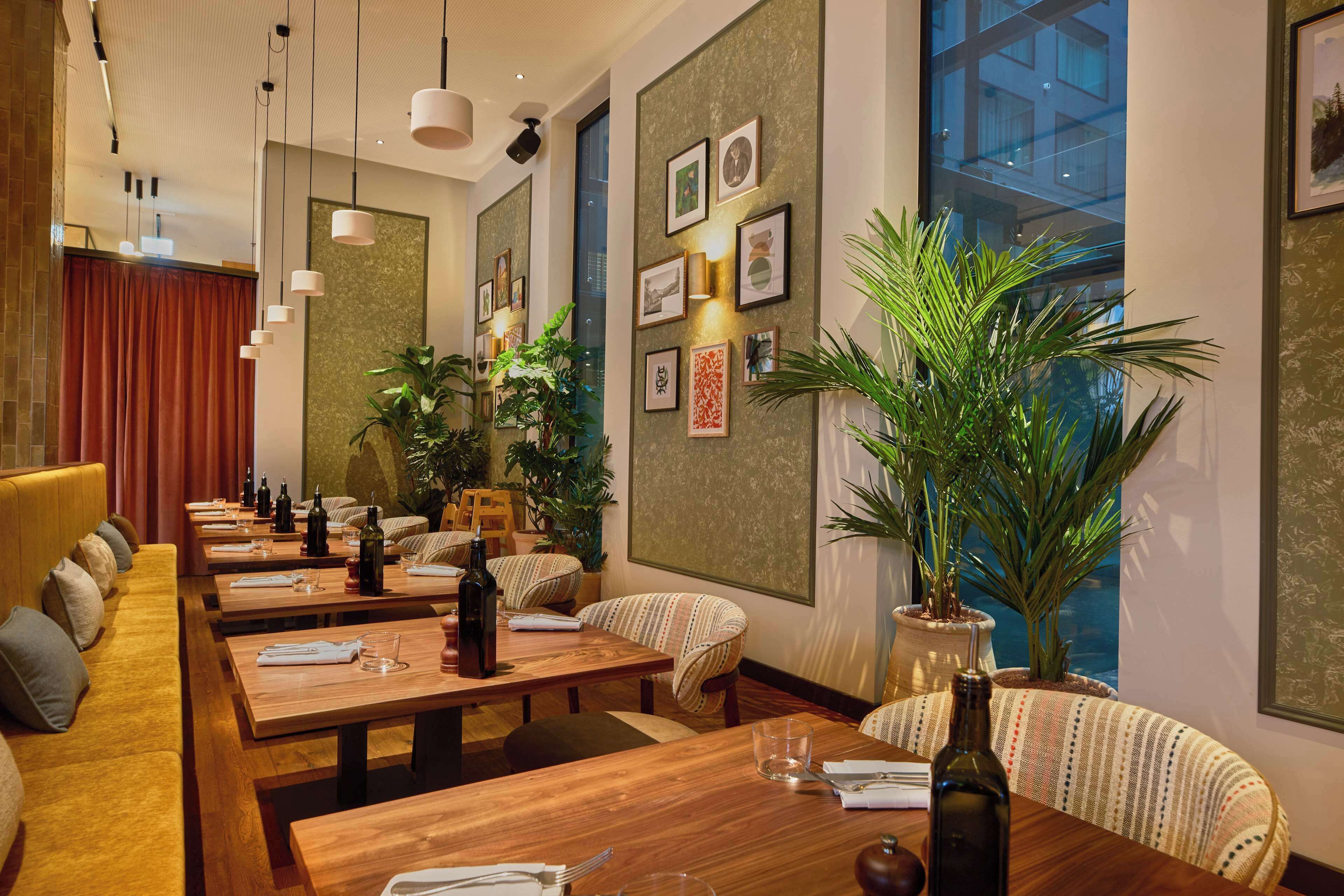 A restaurant with long wooden tables, cushioned seating, and potted plants.