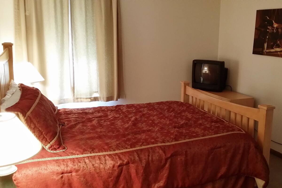 1 Bedroom / 1 Bathroom Condominium | Desk, free WiFi
