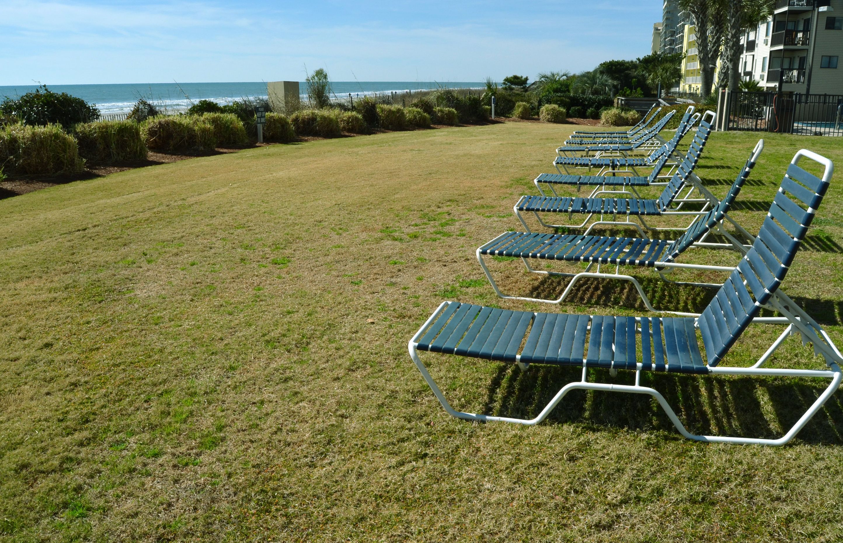 Foto - Carolina Winds