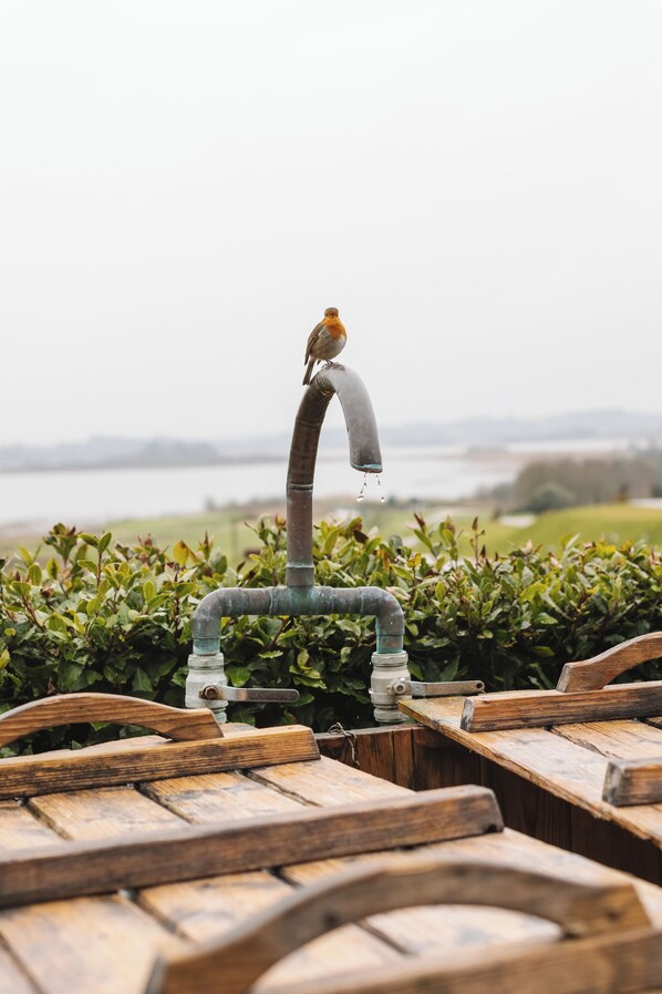 A bird perched on a water spout with a view of a lake and wooden furniture in the foreground.