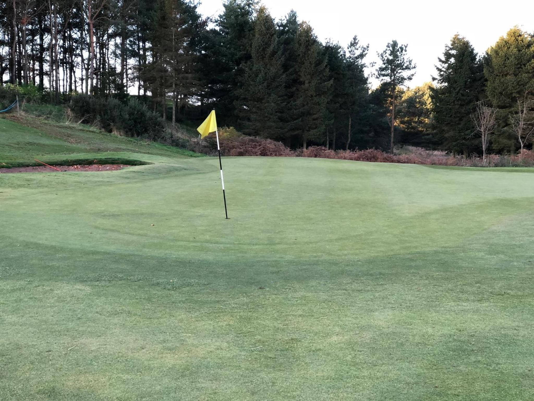 A golf course with a flagstick on the green, surrounded by trees and a clear sky.