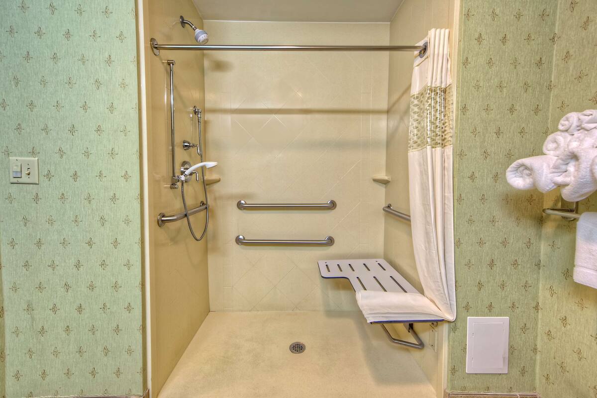 room, 1 king bed, accessible, non smoking | bathroom shower