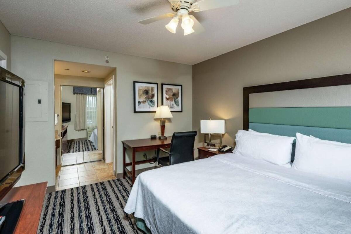 A hotel room with a bed, desk, chair, lamp, and a ceiling fan.