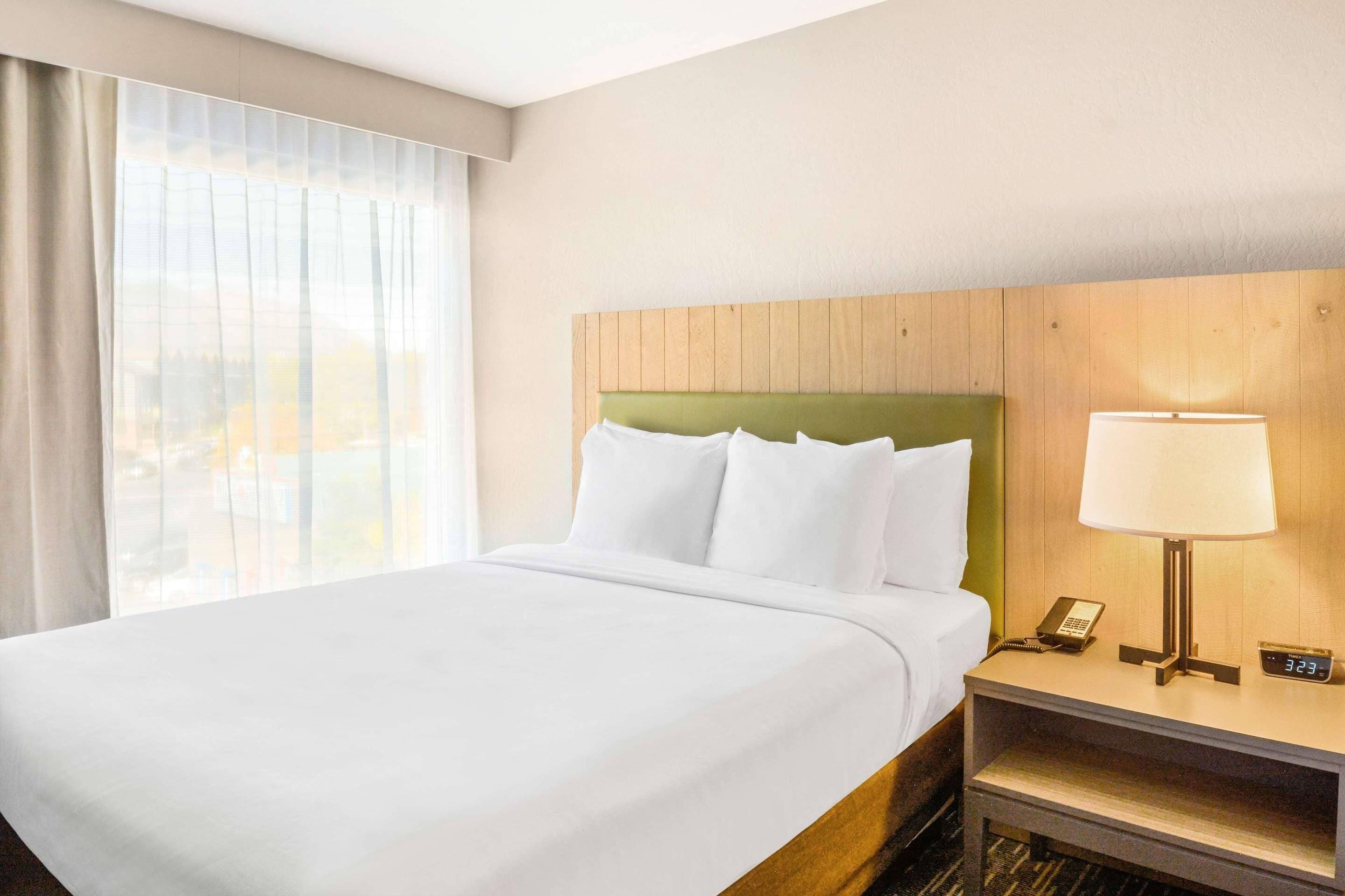 A hotel room with a bed, a nightstand with a lamp and phone, and a view of the outdoors through sheer curtains.