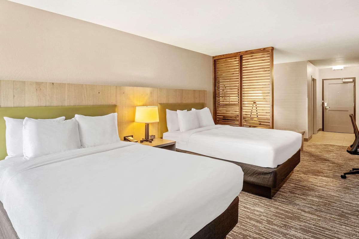 Suite estudio, varias camas, para no fumadores | Ropa de cama de alta calidad y espacio para trabajar con laptop