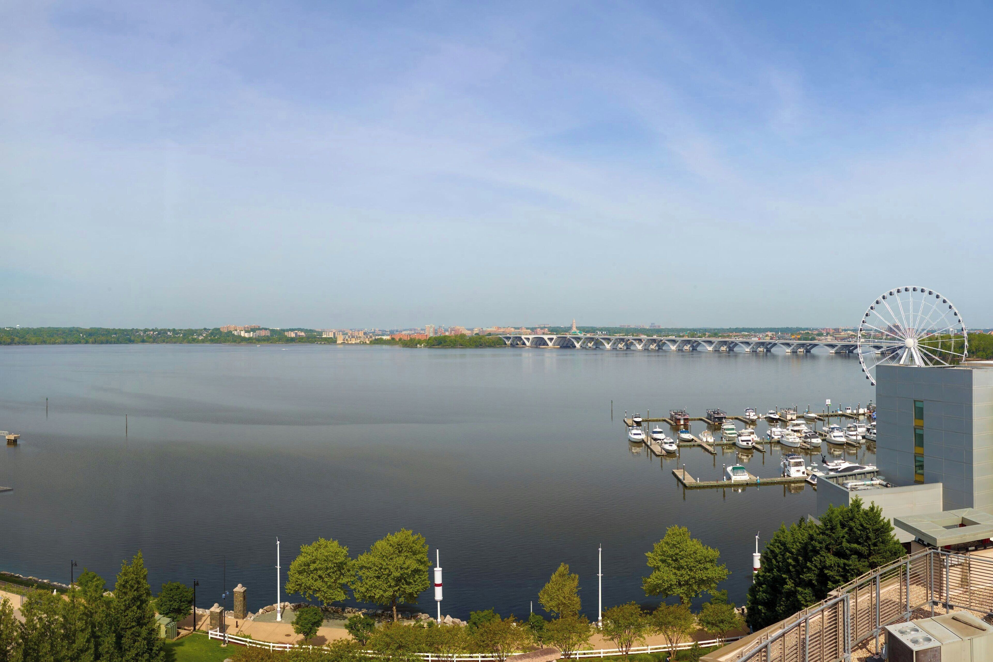 suite, 1 bedroom, river view | 1 bedroom, premium bedding, in-room safe, desk