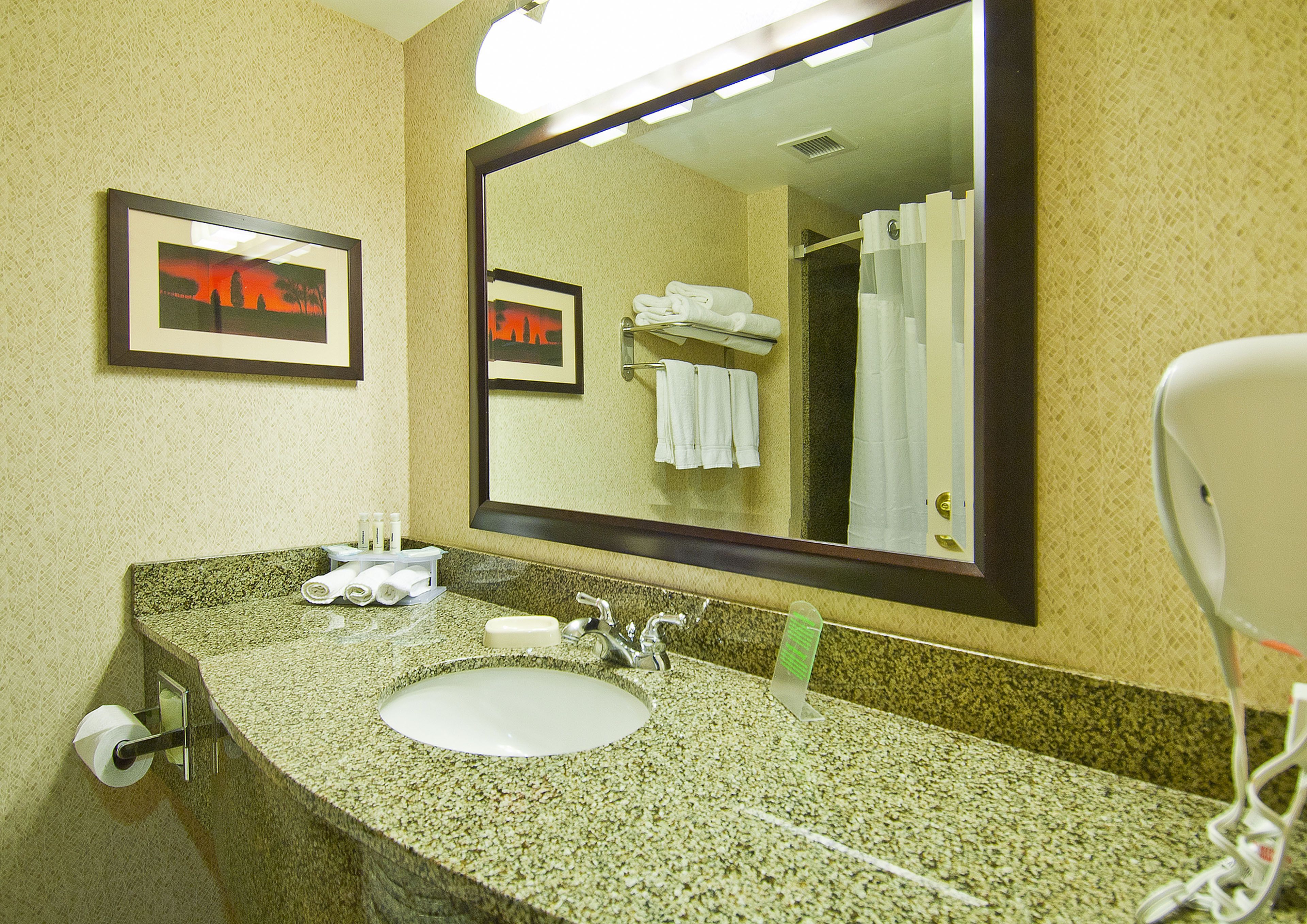 suite, 1 king bed | bathroom | combined shower/bathtub, free toiletries, hair dryer, bathrobes