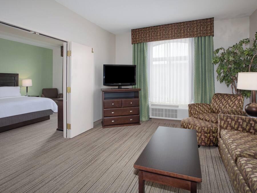 Habitación de hotel con cama, televisión sobre un mueble, sofá, mesa y planta en maceta.