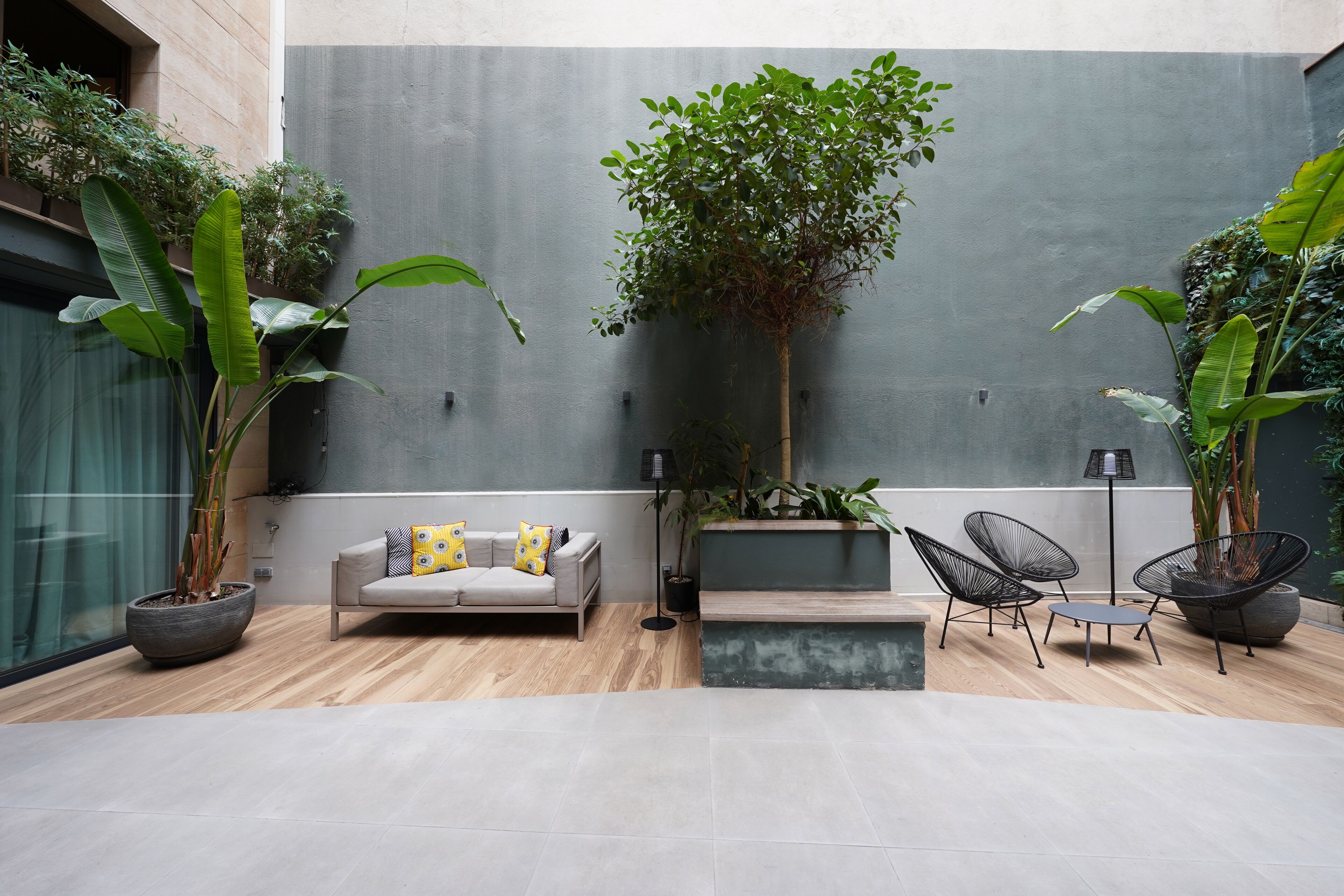 A modern indoor patio with a sofa, two chairs, a potted plant, and a large tree.