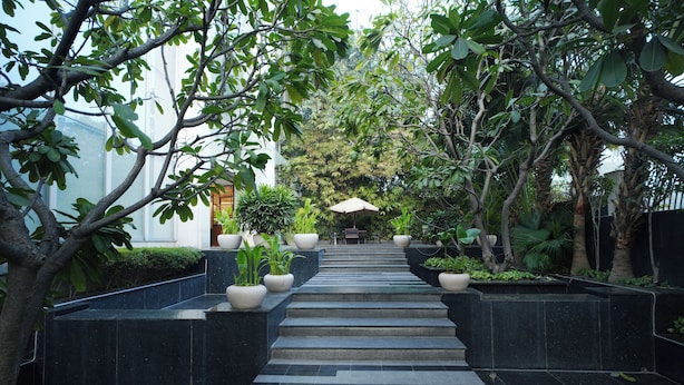 A pathway leading to a building surrounded by lush greenery and potted plants.