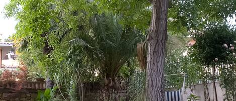Un exuberante jardín con diversos árboles y una hamaca.