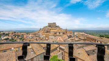 Studio (Apartment) | Balcony view