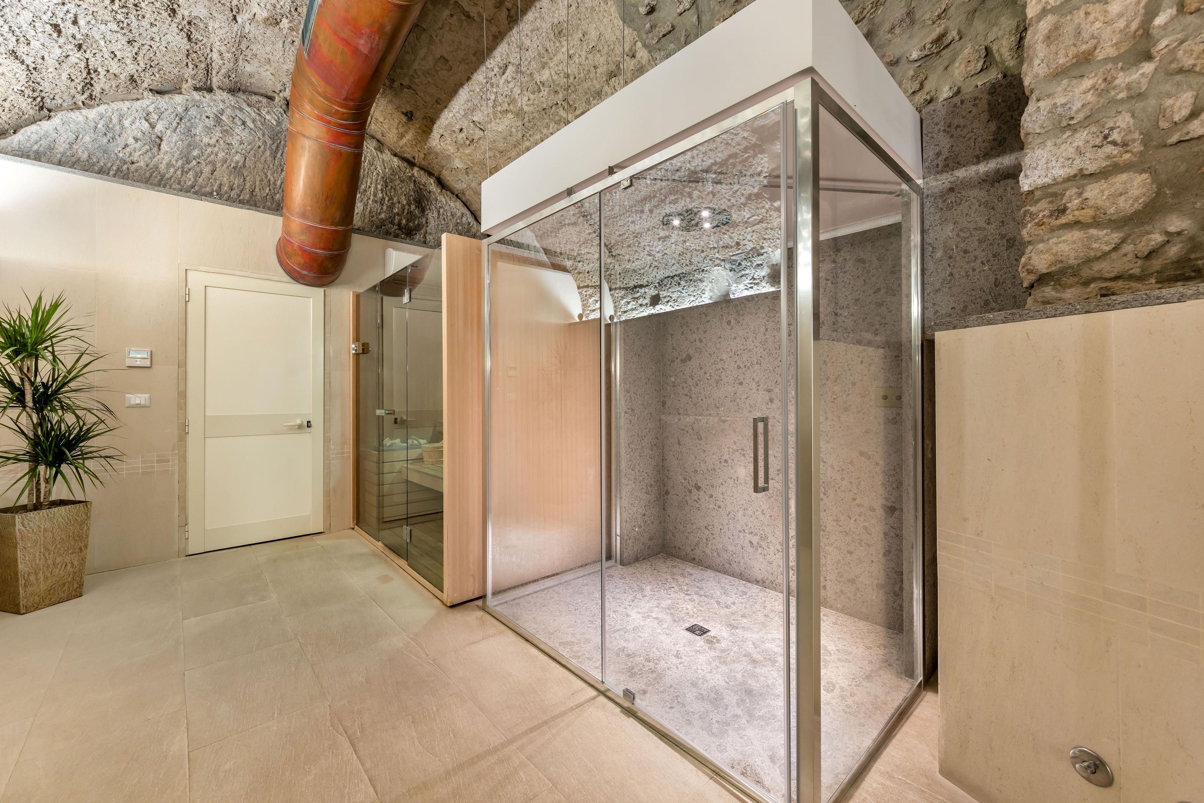 Une salle de bain moderne avec une douche en verre, une plante en pot et un mur en pierre.