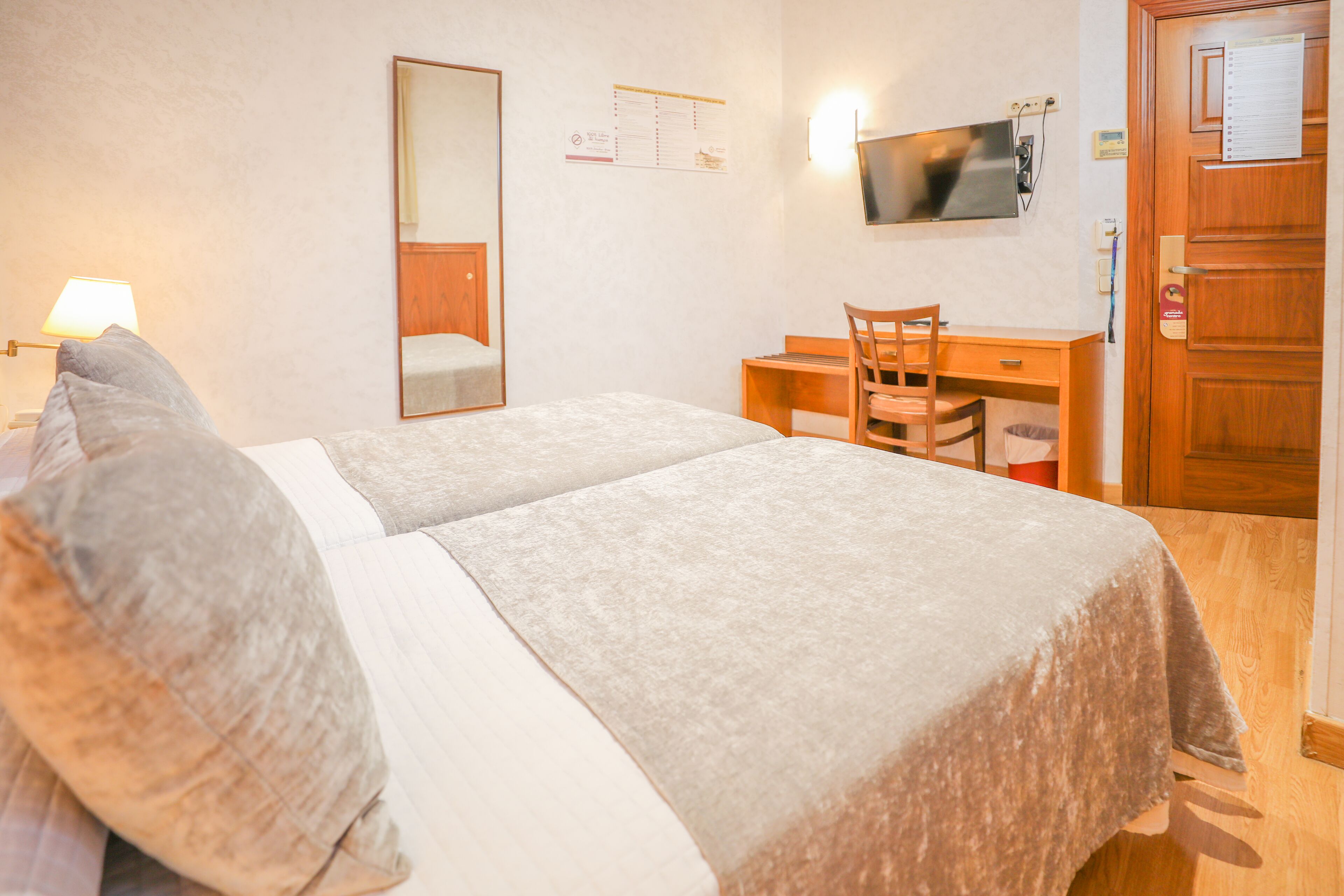 Une chambre d’hôtel avec un lit, un bureau, une chaise, une télévision et une porte en bois.