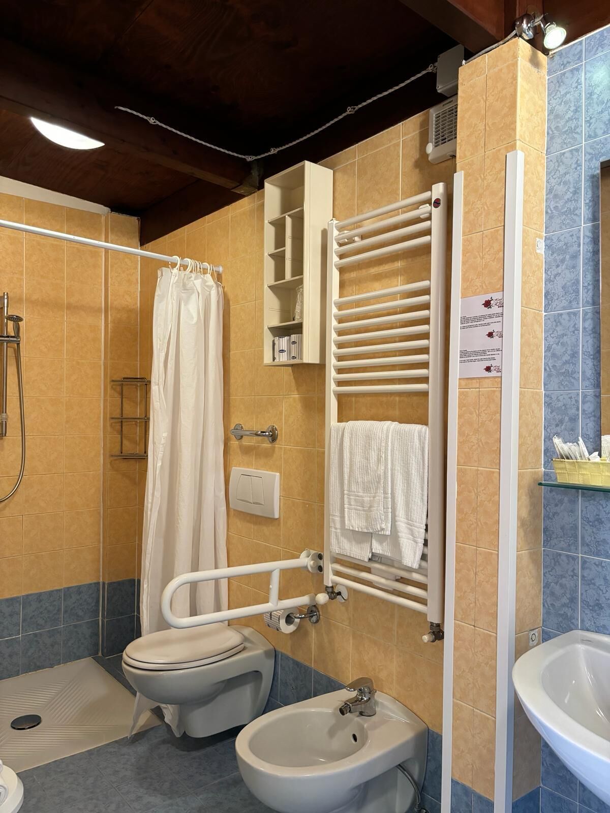 double room, 1 queen bed, accessible | bathroom | shower, free toiletries, hair dryer, bidet