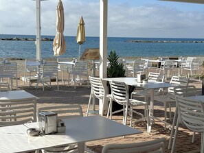 Bar (on property) - Hotel delle Rose (San Bartolomeo al Mare)