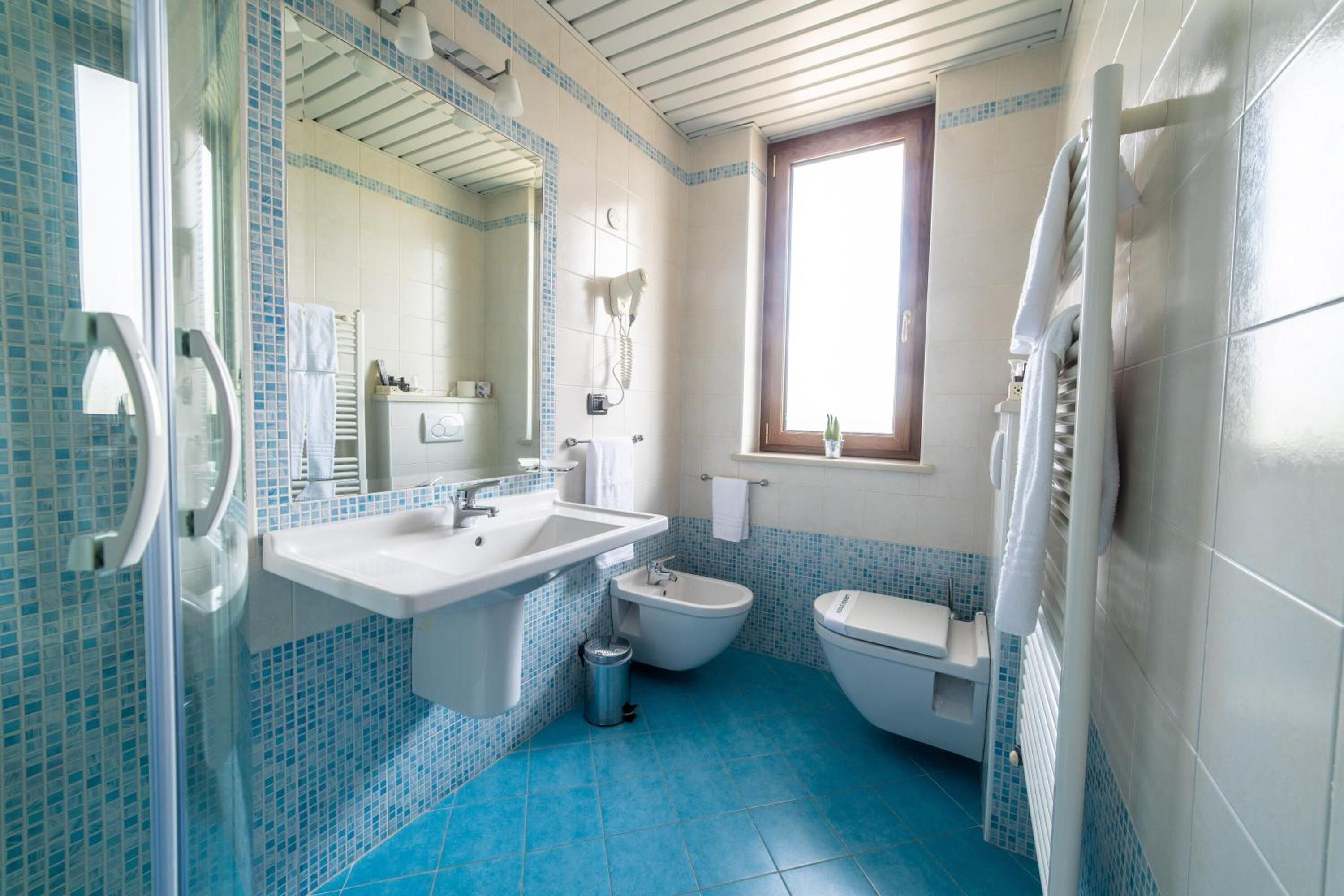 shower, free toiletries, hair dryer, bidet