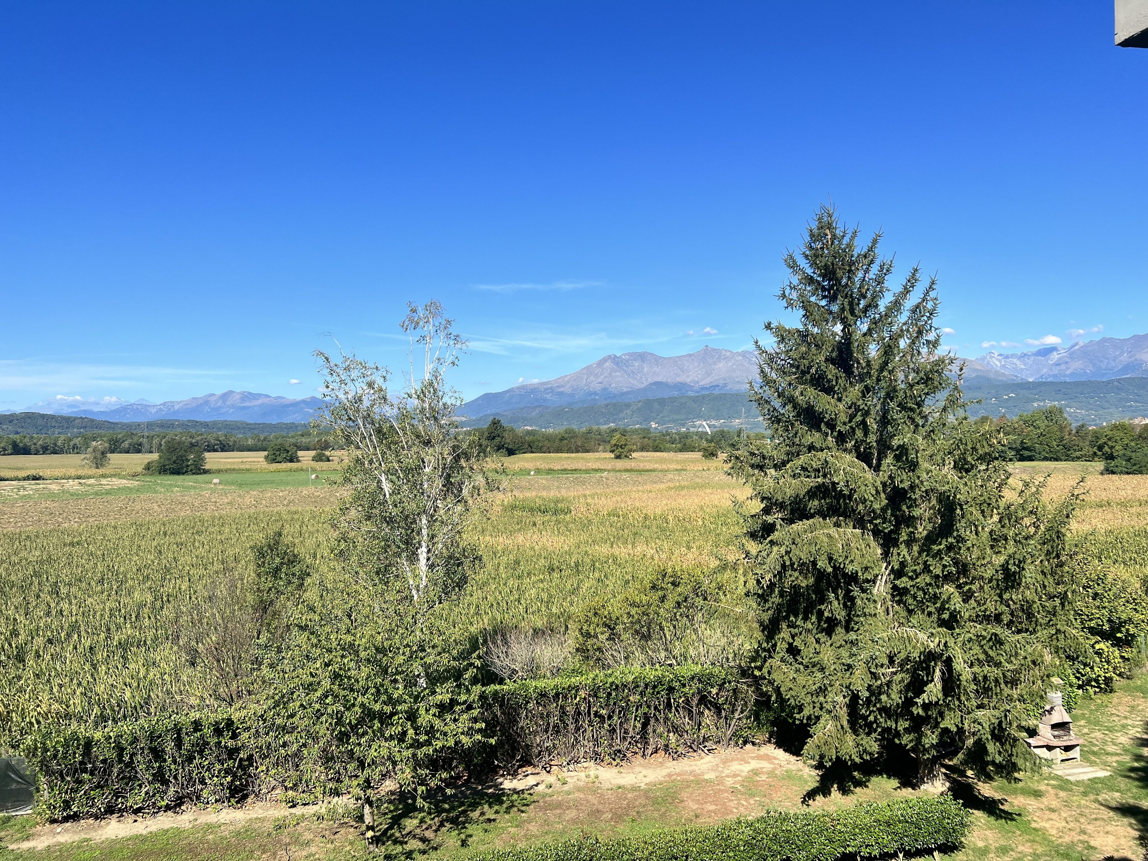 double room, 1 king bed | 1 bedroom, premium bedding, down duvets, minibar