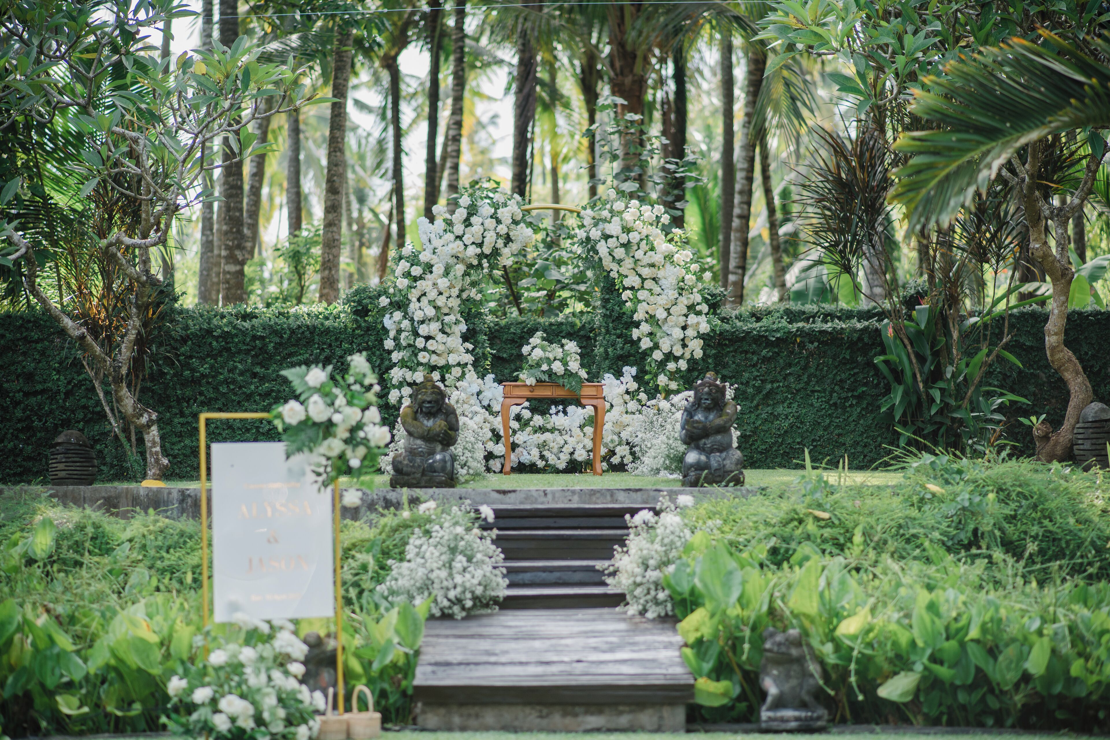 Jardín tropical con un banco de madera y un cartel, rodeado de exuberante follaje y palmeras.