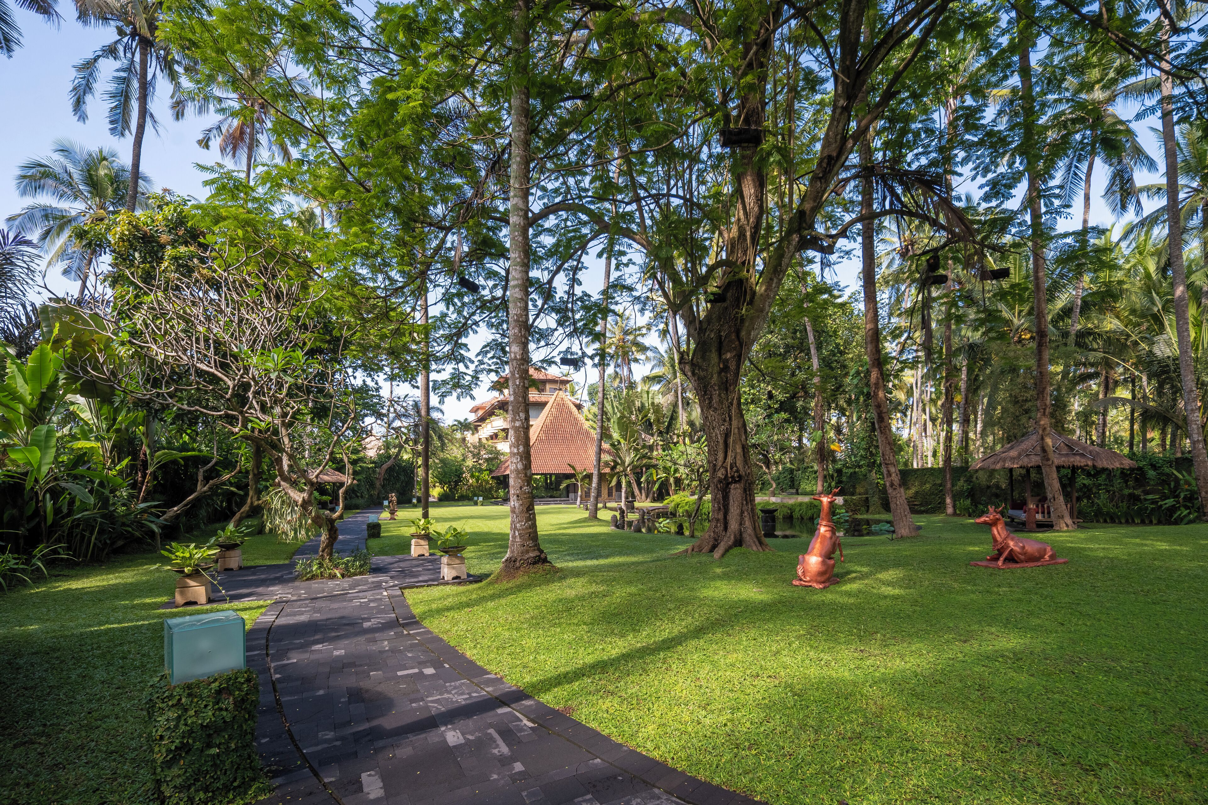 A lush garden with a paved pathway, palm trees, and a thatched-roof structure.