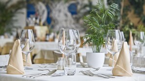 A table set with clear glassware, white napkins, and a potted plant. - Hotel Marlena (Marlengo)