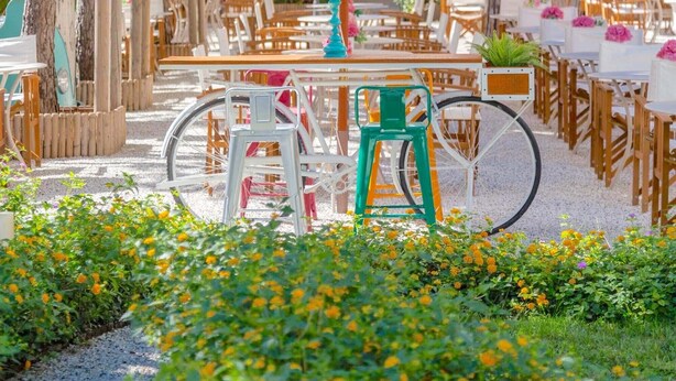 An outdoor dining area with tables and chairs under a large umbrella, surrounded by trees and plants. - La Pineta Al Mare (Forte dei Marmi)