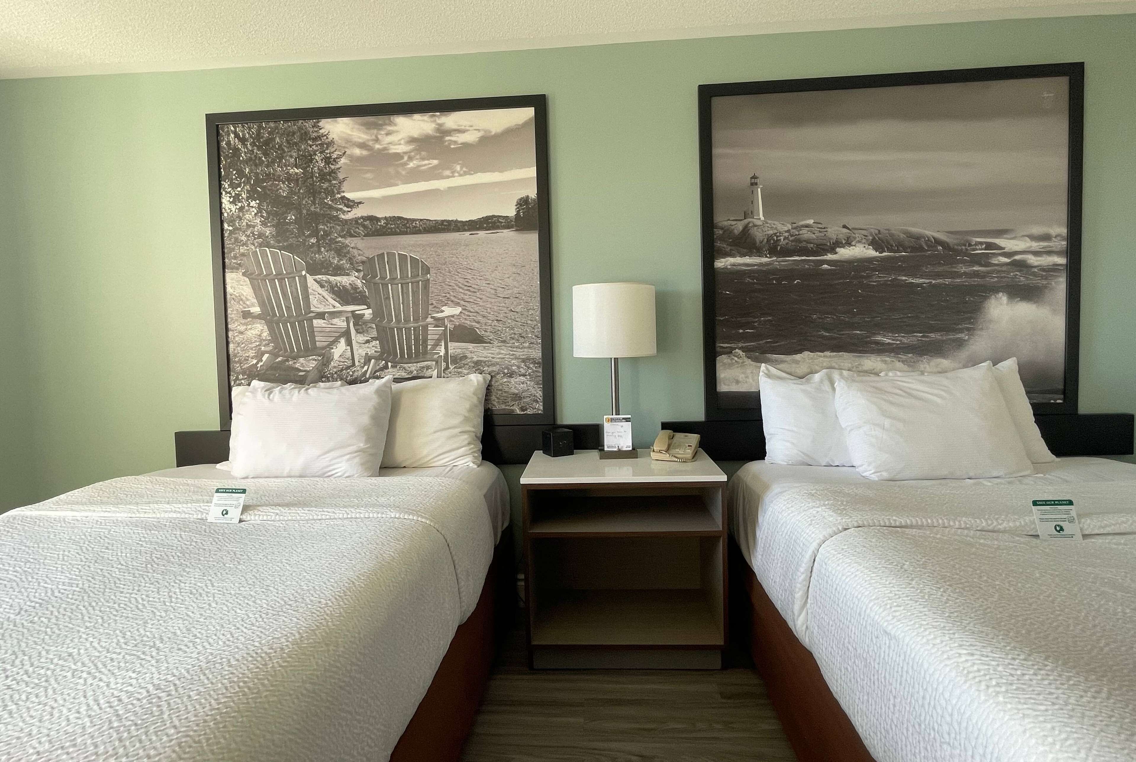 standard room, 2 queen beds | hypo-allergenic bedding, desk, blackout curtains, iron/ironing board