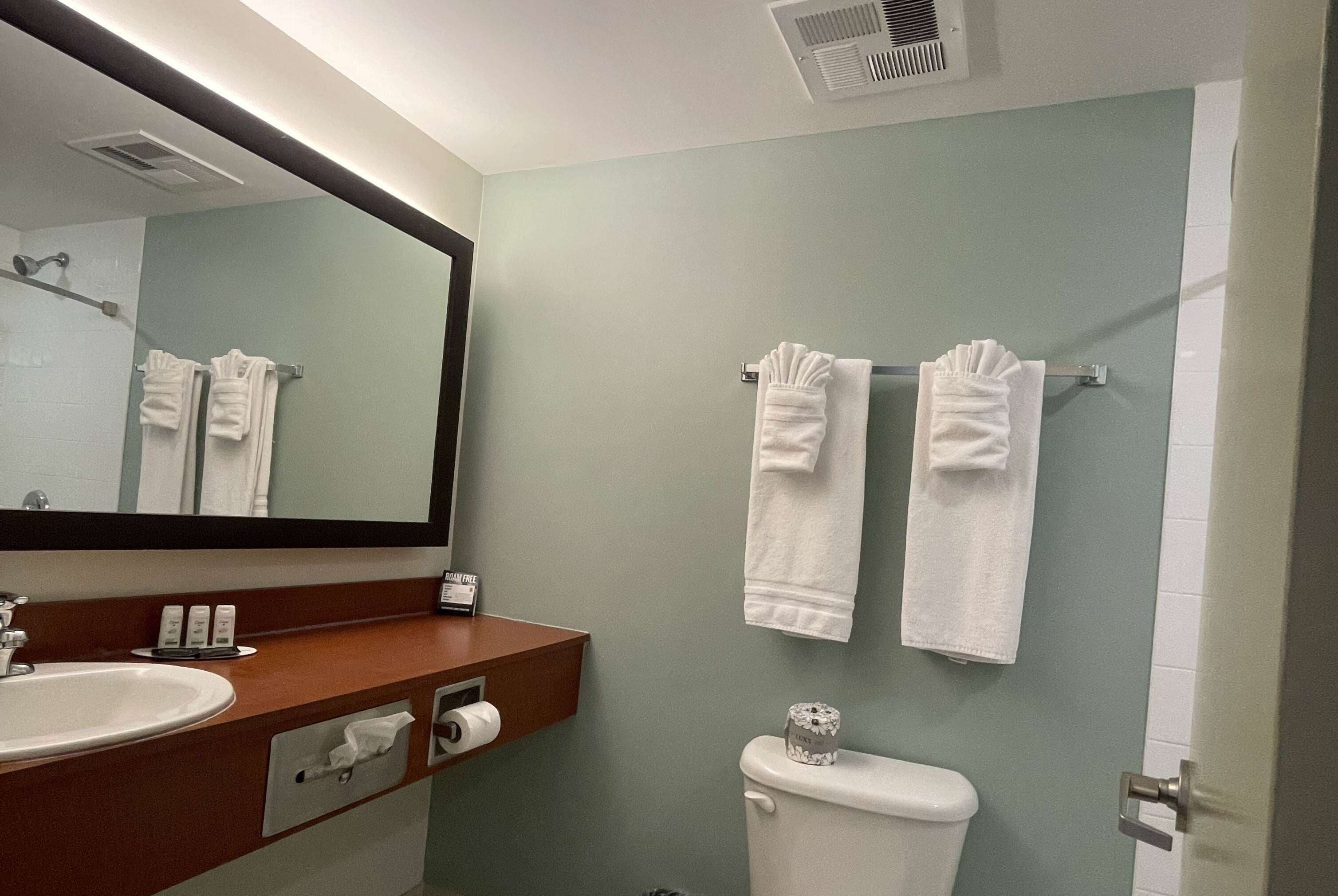 Un baño con lavamanos, espejo, toallero, inodoro y una puerta.