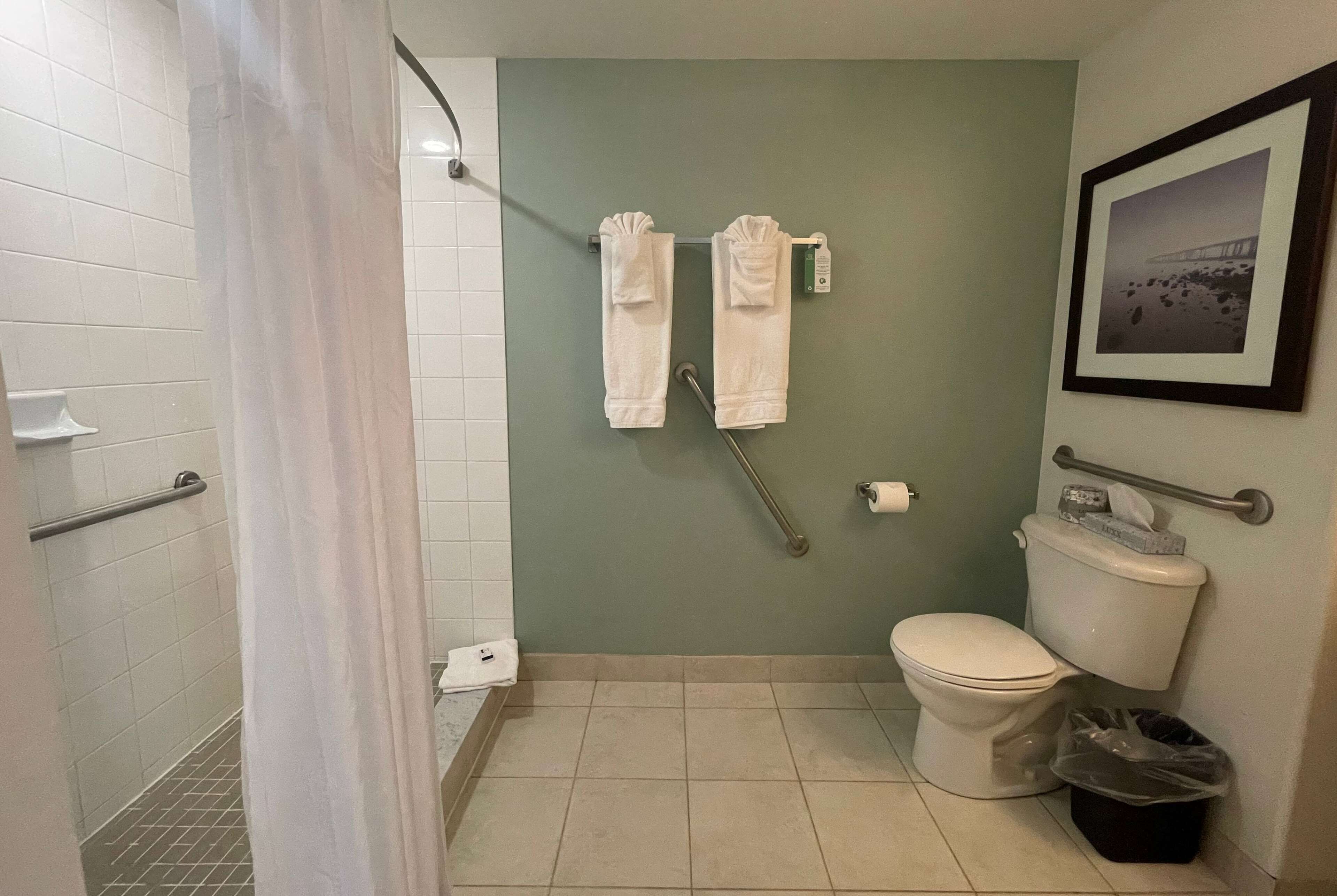 A bathroom with a toilet, a shower, and a handrail.