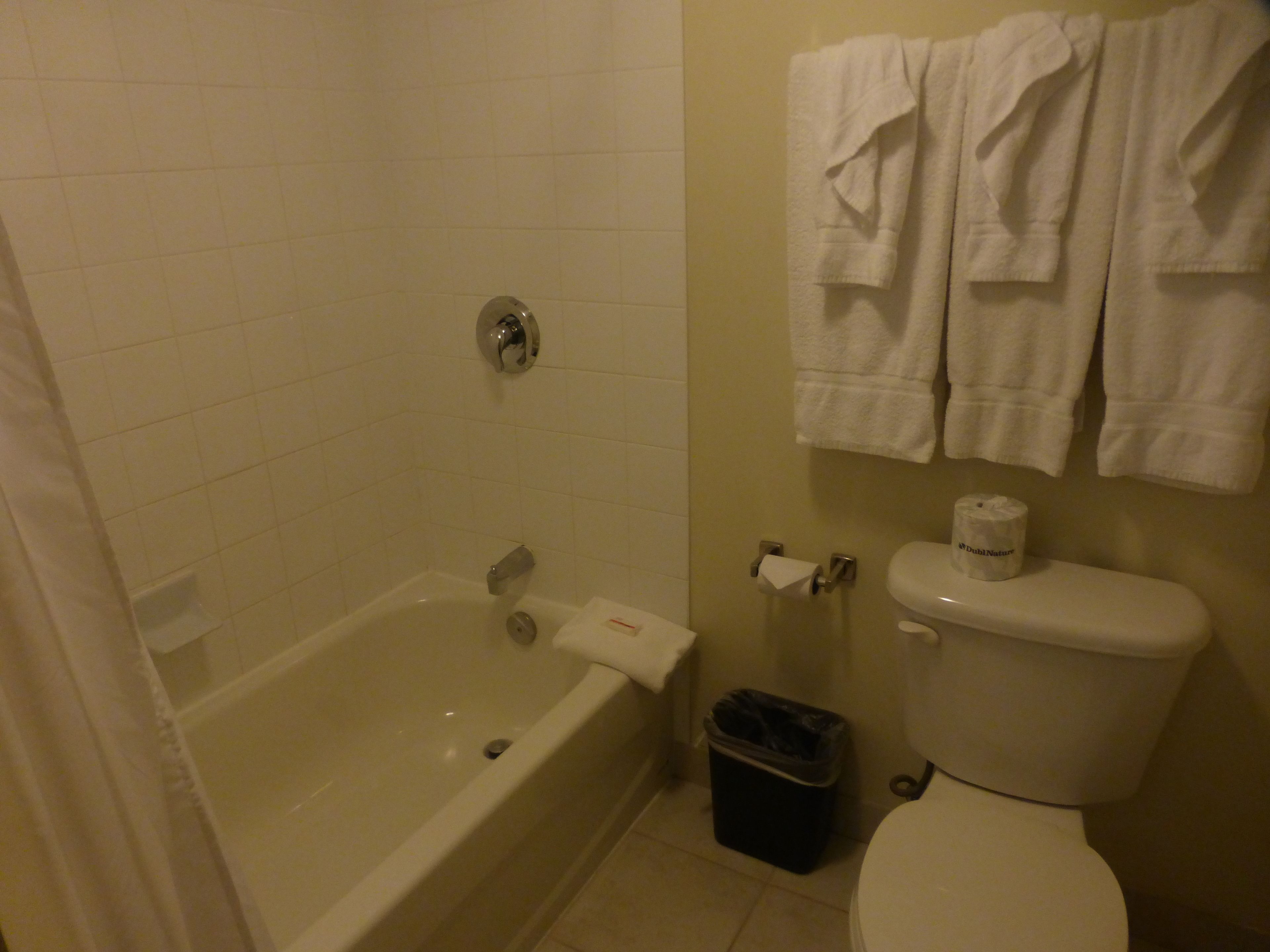 Un baño con bañera, inodoro y un cubo de basura.