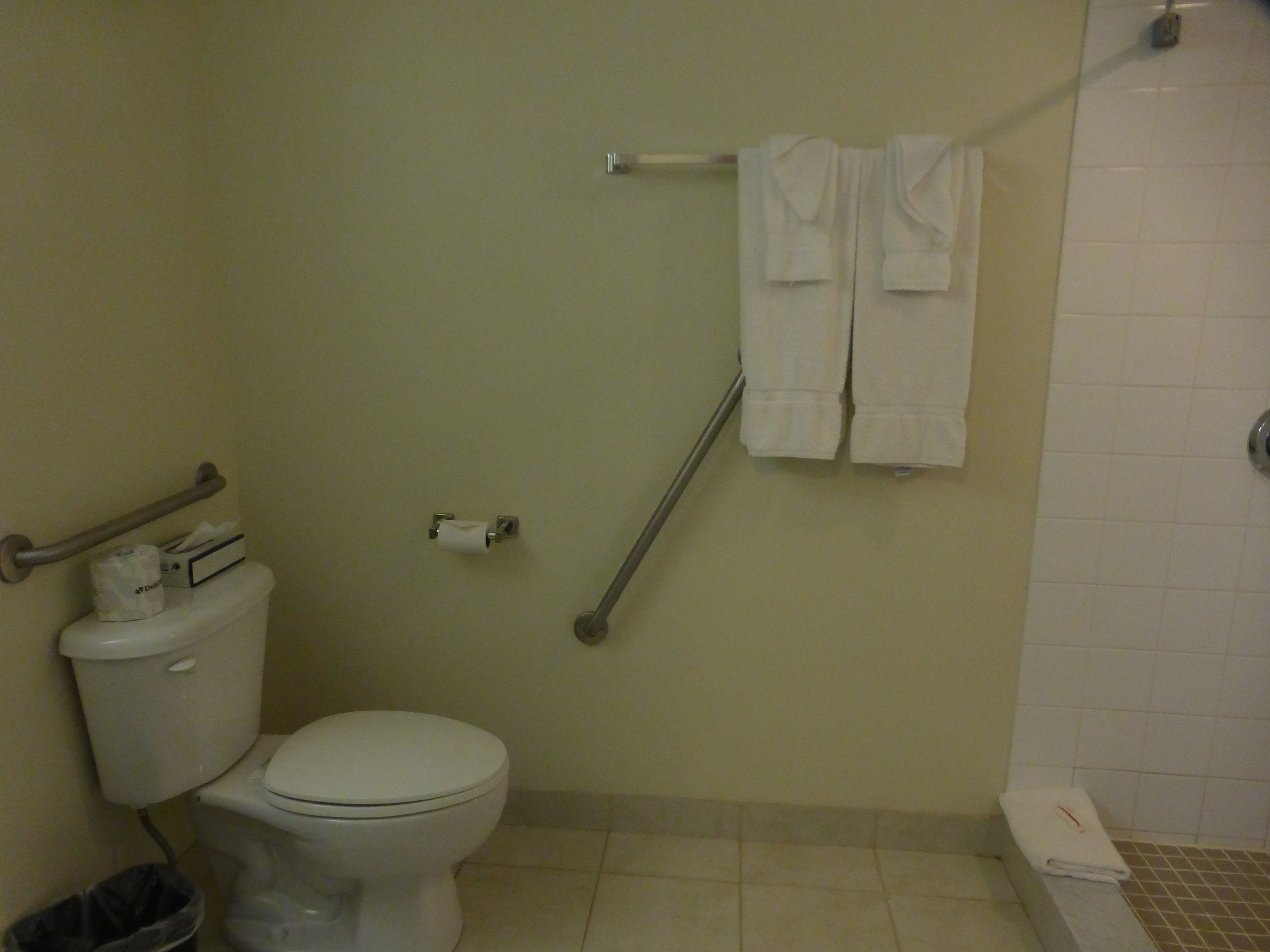 Et badeværelse med toilet, gelænder, håndklæder på bøjle og en skraldespand.