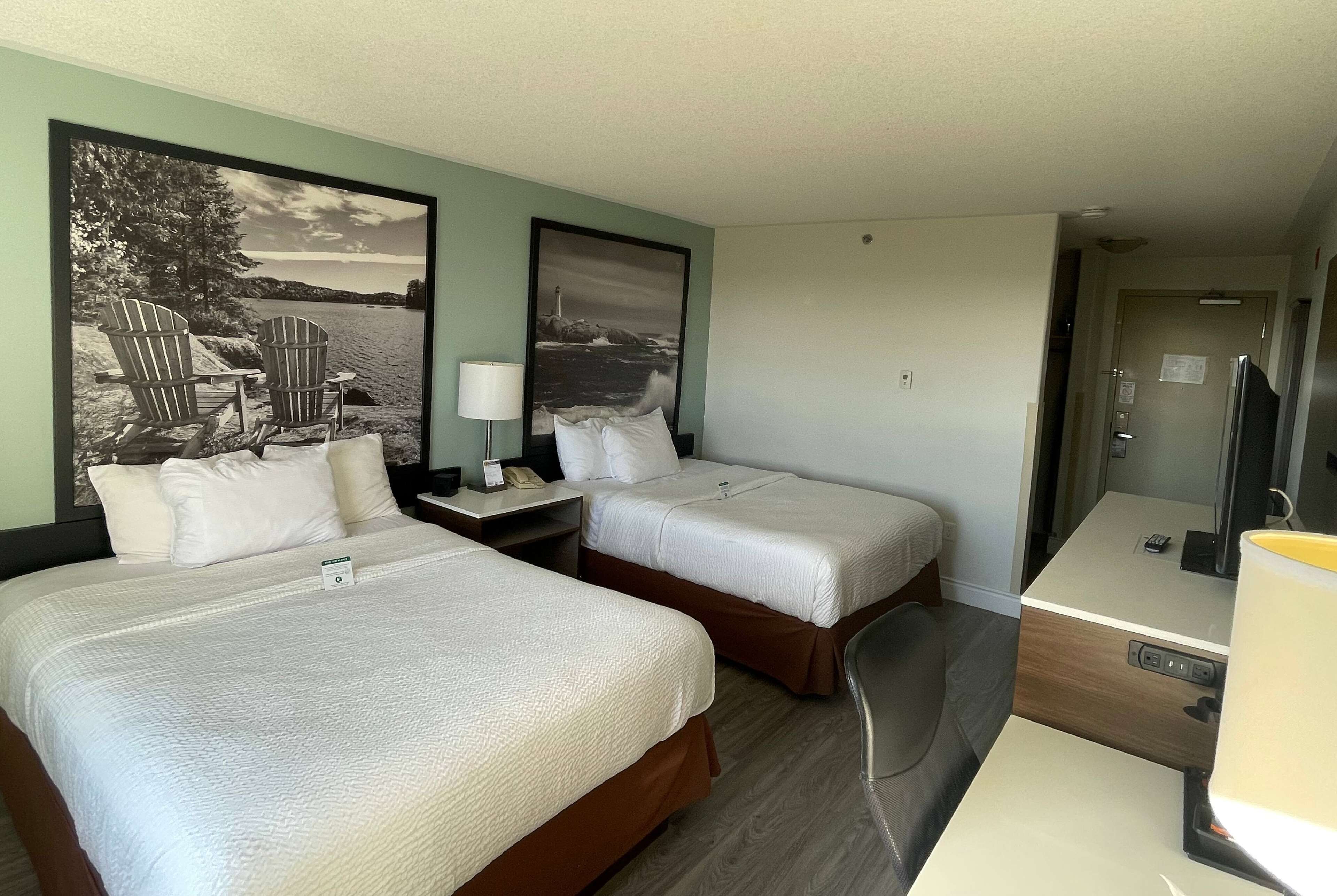 Habitación de hotel con dos camas, un escritorio y una silla. Hay dos cuadros en la pared, una lámpara y una mesita de noche con un teléfono.
