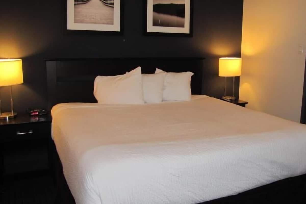 Ropa de cama de alta calidad, escritorio y cortinas blackout