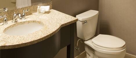A bathroom with a sink, mirror, toilet, and a framed picture on the wall.