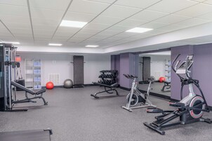 Un gimnasio con máquinas de cardio, pesas libres y pelotas de ejercicio.