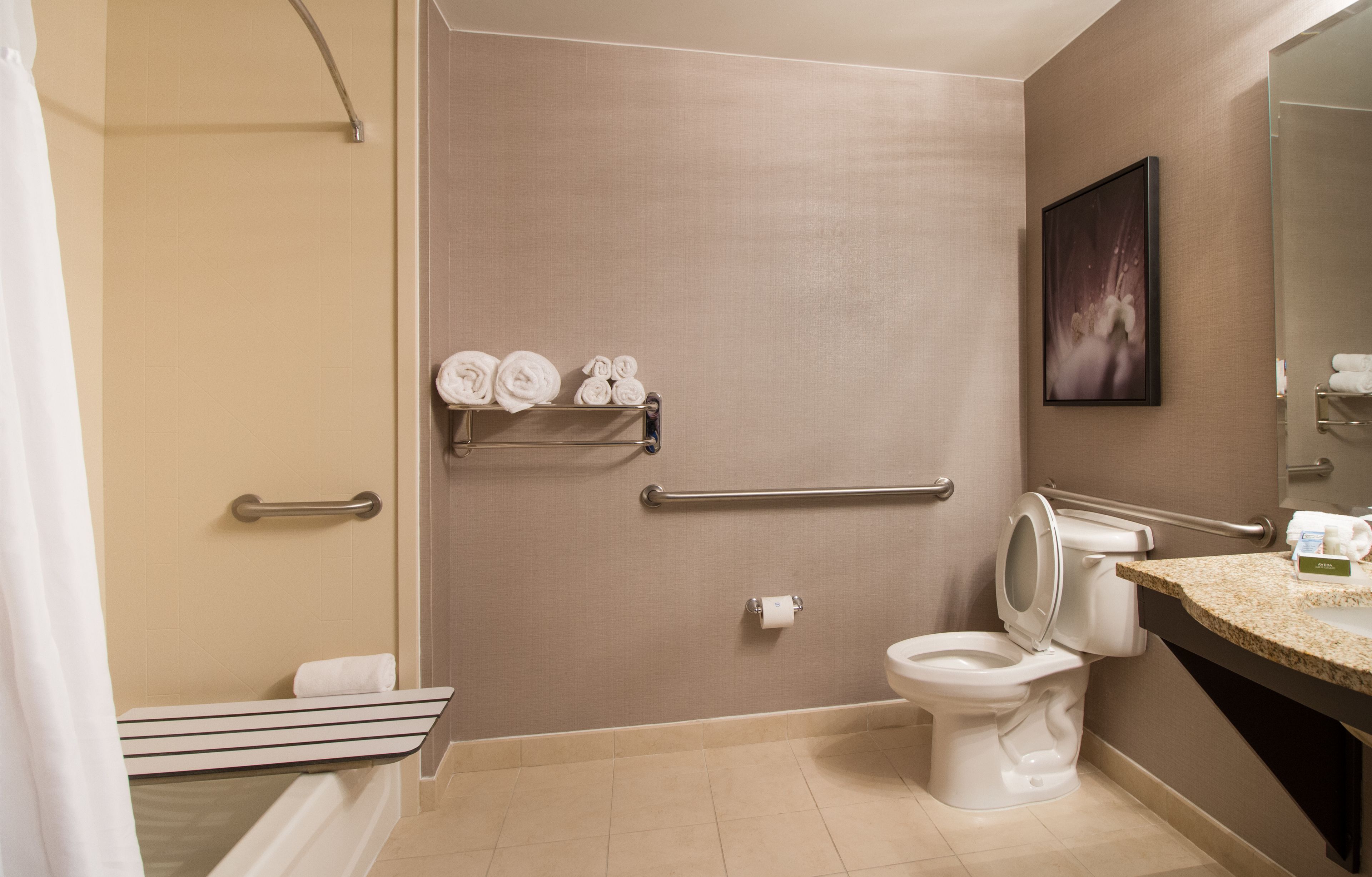 A bathroom with a shower, toilet, and sink. There are handrails, a towel rack, and a framed picture on the wall.