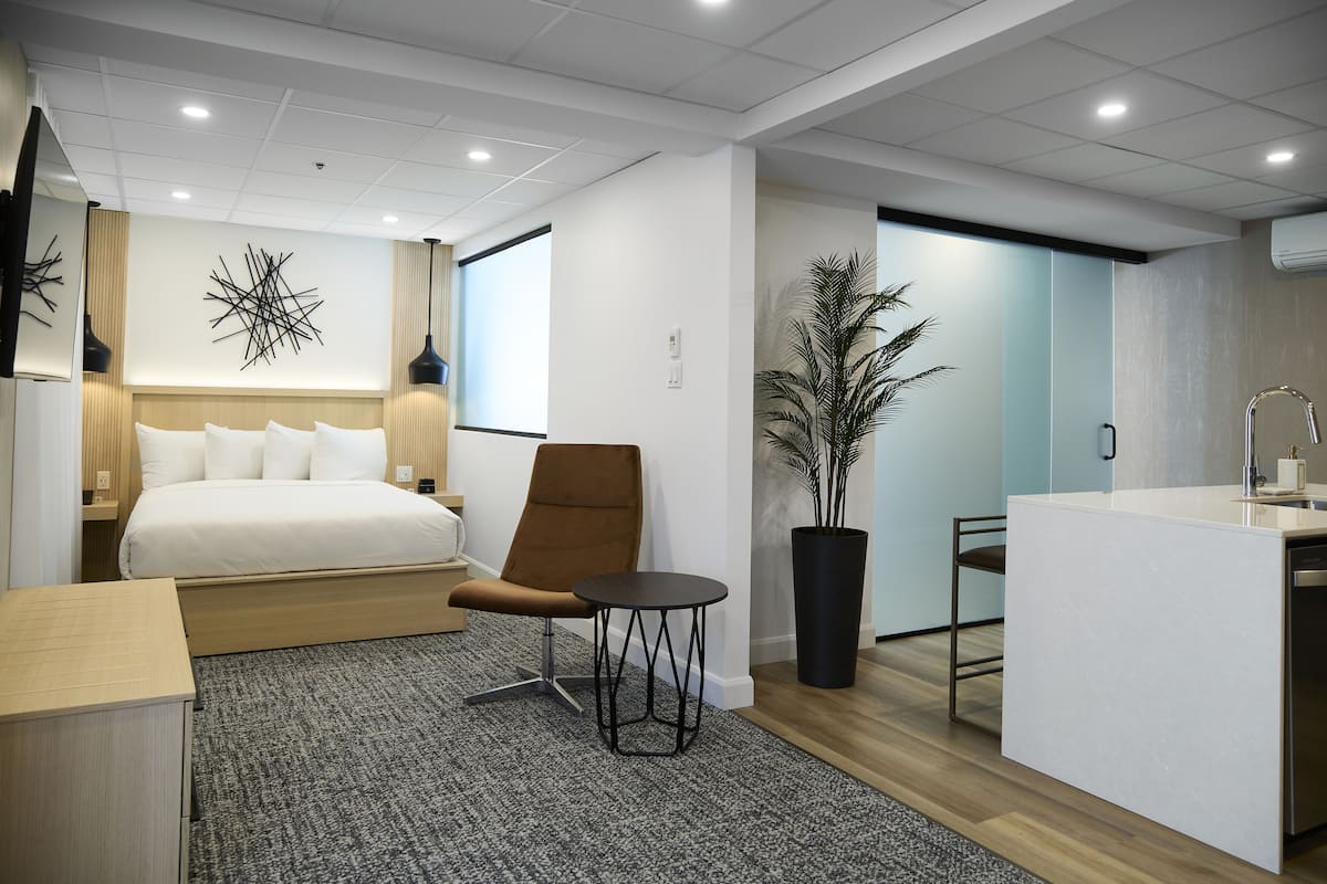 A modern hotel room with a bed, a brown armchair, a small round table, a large potted plant, and a kitchenette.