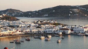 A coastal town with white buildings, a harbor with boats, and a hill with structures. - Mykonos View (Mykonos)