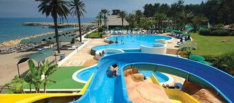 Gypsophila Club Marine