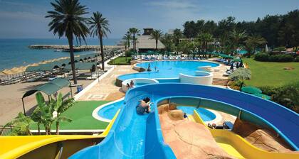 Gypsophila Club Marine