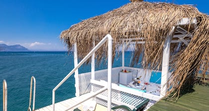 Gypsophila Club Marine